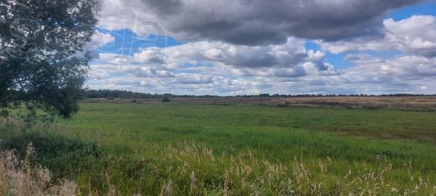 Земельный участок, 60100 кв.м. Калининградская обл п. Добровольск.